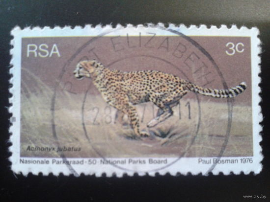 ЮАР 1976 гепард