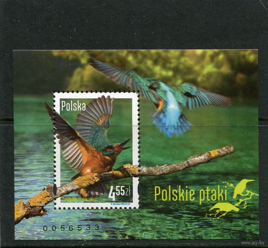 Польша. Птица года 2013. Обыкновенный зимородок, блок