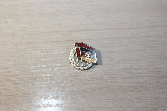 Значок "Дружба ГДР и СССР", тяжёлый металл.