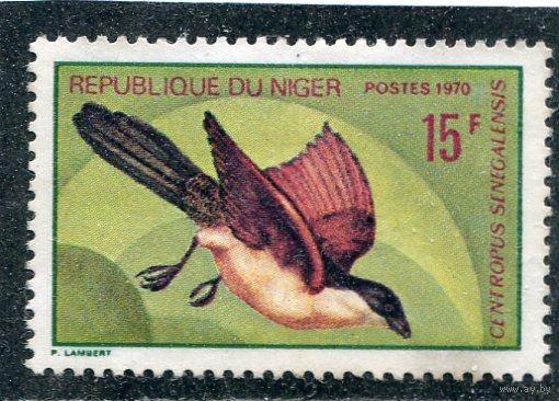 Нигер. Сенегальская шпорцевая кукушка