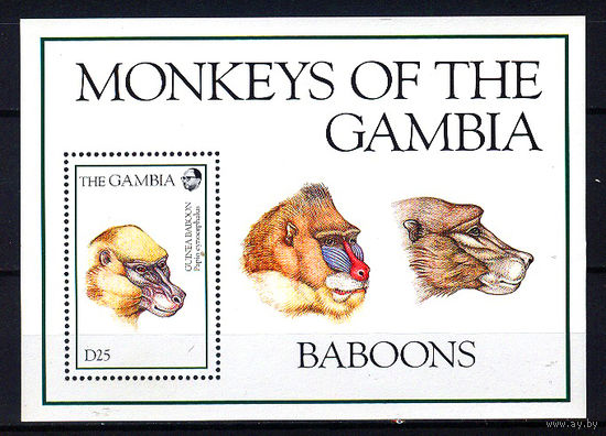 1994 Гамбия. Бабуин