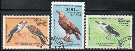 Птицы Мадагаскар 1982 год серия из 3-х марок