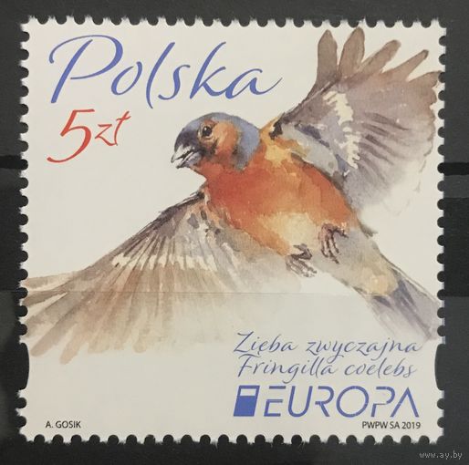 2019 ЕВРОПА Национальные птицы