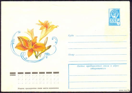 СССР 1979 флора лилейник