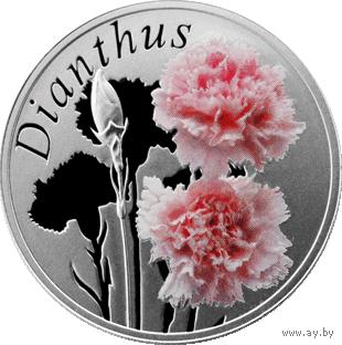 Гвоздика (Dianthus) ("Красота цветов") 10 рублей 2013 года