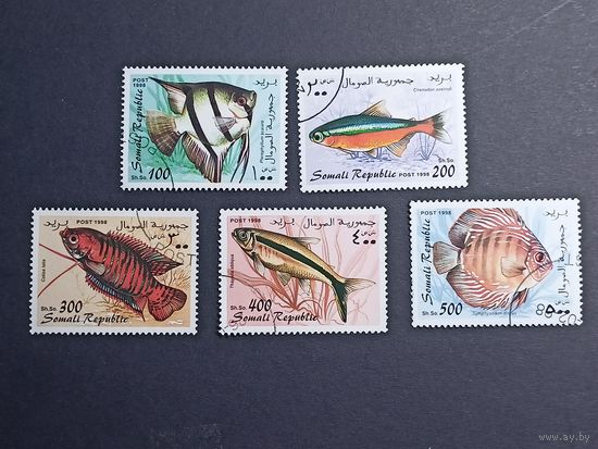 Сомали 1998. Рыбы