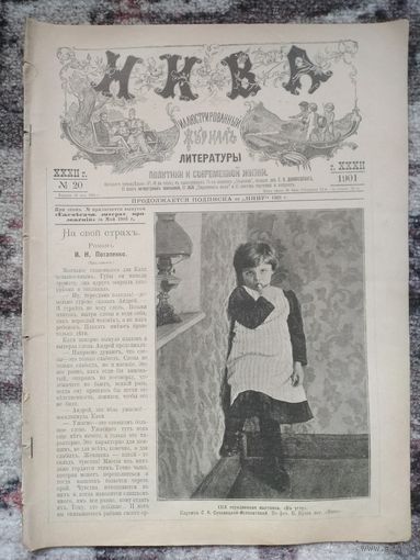 Журнал Нива. 1901 год.
