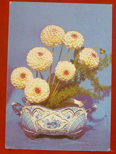 Цветы. Чистая. 1991 года. Фото Суханова. 160.