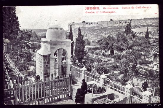 Иерусалим Гефсеманский сад