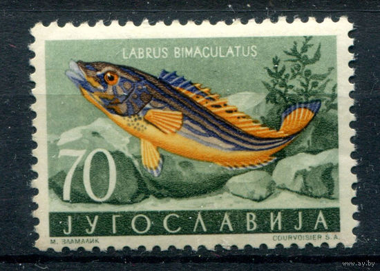 Югославия - 1956г. - фауна, 70 Din - 1 марка - MNH с незначительным дефектом клея и полосой на клее. Без МЦ!