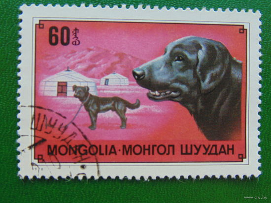 Монголия 1978г. Фауна.