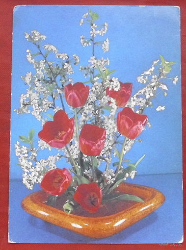 Цветы. Чистая. 1985 года. Баранникова. 1643.