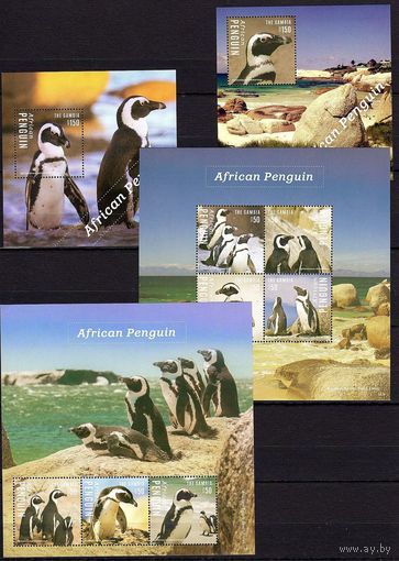 Гамбия 2014 Фауна Птицы Пингвины