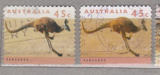 Кенгуру животные  Фауна Австралии 1994 год  лот 11  волнистая перфорация - рулонная, РАЗНАЯ ПЕЧАТЬ можно отдельно