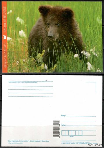 Почтовая карточка "Медведь"(Н)