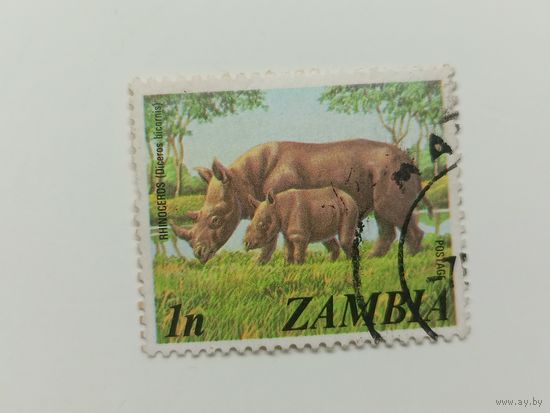 Замбия 1975. Местные мотивы