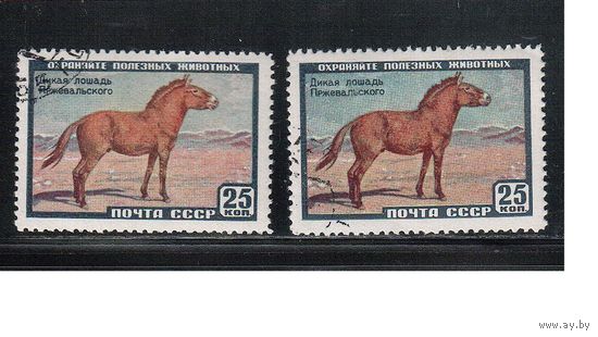 СССР-1959, (Заг.2240),   гаш.  (с клеем) , Фауна, Лошадь Пржевальского, оттенки цвета(2)