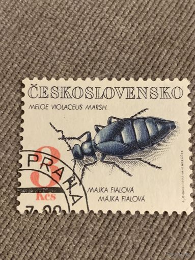 Чехословакия 1992. Meloe Violaceus Marsh