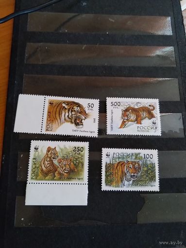 1993 Россия фауна чистая полная серия фауна тигры клей MNH** (р-10)