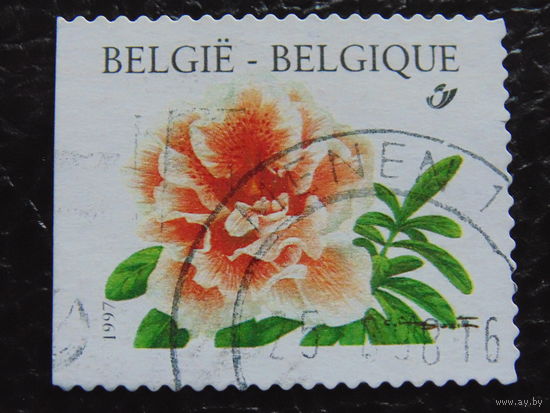 Бельгия 1997г. Флора.