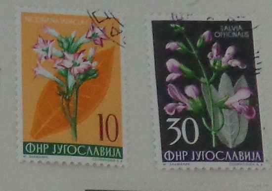 Цветы. Югославия. Дата выпуска:1955-09-24
