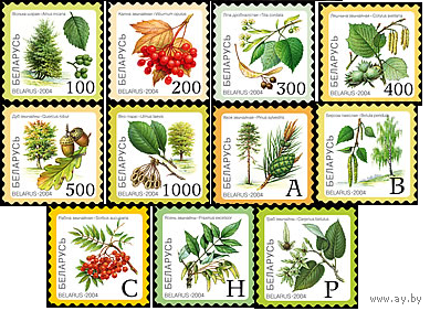 Беларусь 2004 флора плоды деревьев Стандарт Восьмой стандартный выпуск самоклеящейся бумаге серия **
