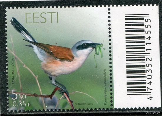 Эстония. Птица года. Обыкновенный жулан