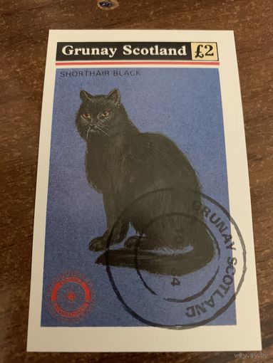 Шотландия 1984. Кошки. Блок