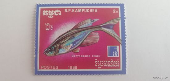 Камбоджа 1988. Рыбы.