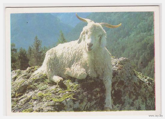 Календарик В горах 1990