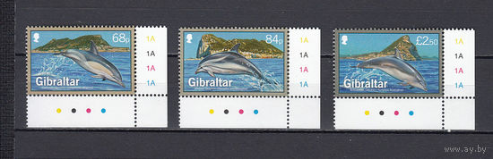 Фауна. Дельфины. Гибралтар. 2014.3 марки. Michel N 1622-1624 (11.5 е).
