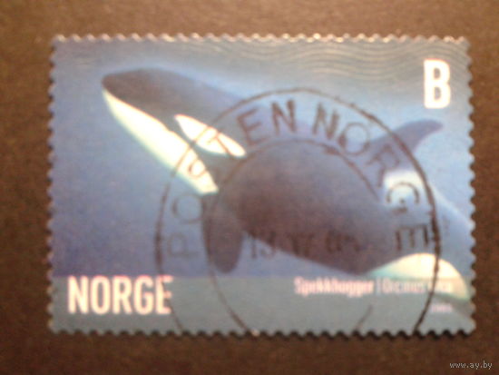 Норвегия 2005 кит