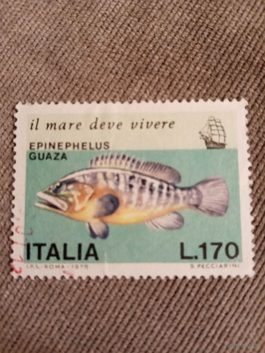 Италия 1979. Рыбы. Epinephelus Guaza