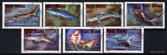 1991 Вьетнам. Акулы