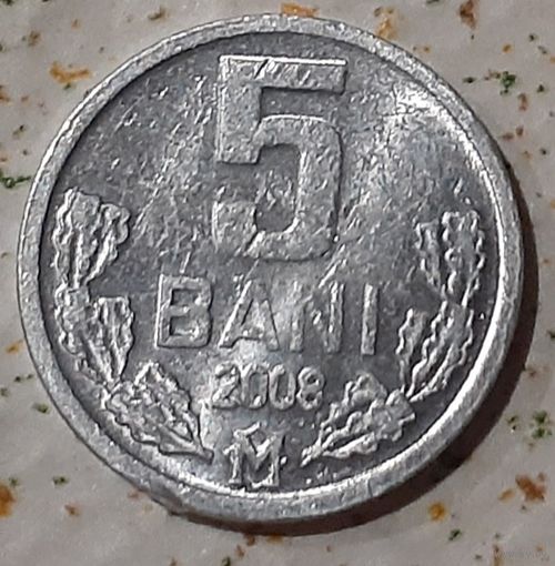 Молдавия 5 бань, 2008 (14-11-81)