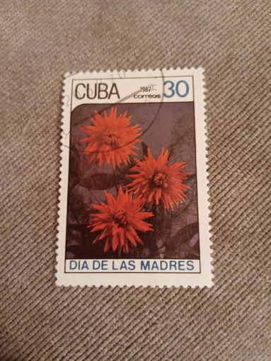 Куба 1987. День матери