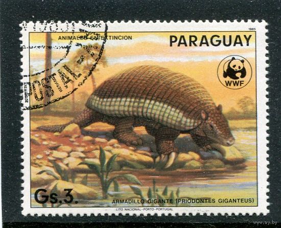 Парагвай. Фауна