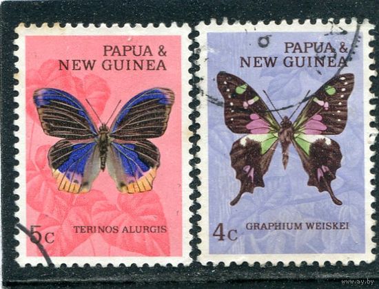 Папуа Новая Гвинея. Бабочки