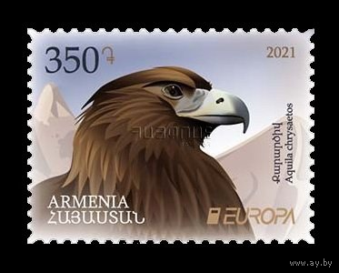 2021 Армения 1200 Европа. Национальная дикая природа. Фауна. Беркут **