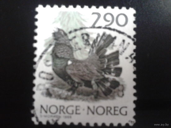 Норвегия 1988 тетерев