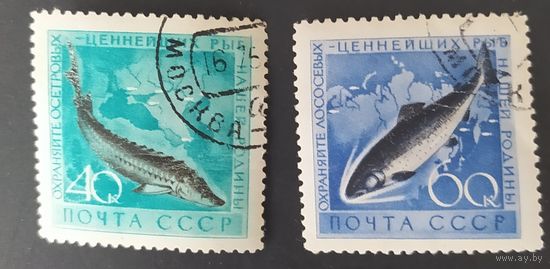 СССР 1959 Рыбы