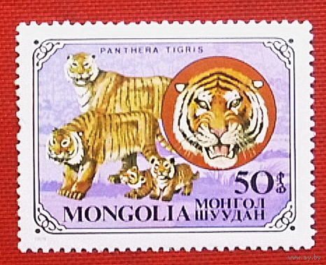 Монголия. Фауна. Тигры. ( 1 марка ) 1979 года. 3-4.