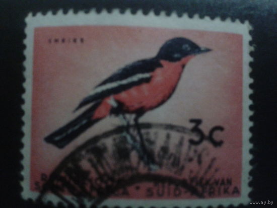 ЮАР 1964 стандарт, птица