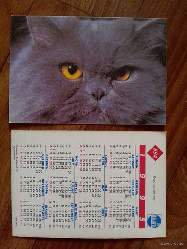 Карманный календарик. Котик .1995 год