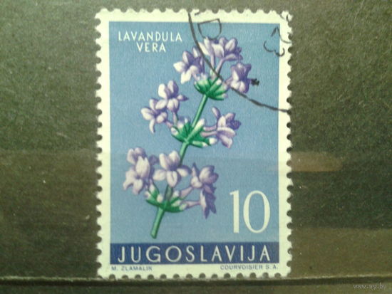 Югославия 1959 Цветы, лаванда