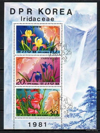 Цветы КНДР 1981 год серия из 3-х марок в блоке