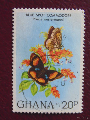 Гана. Бабочки.