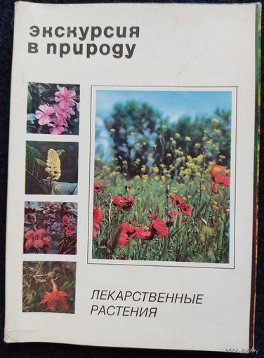Набор открыток "Экскурсия в природу. Лекарственные растения". Первый выпуск, 1976 г. Полный набор 25 шт.