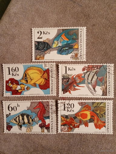 Чехословакия 1975. Аквариумные рыбы