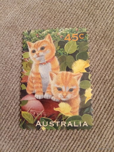 Австралия 1996. Домашние кошки
